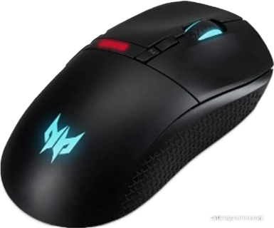 Acer